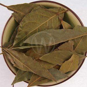 Bay Leave
