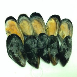 1/2 Shell Black Mussel